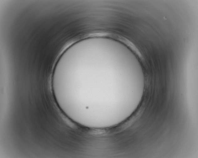 X0000114431186200910161026