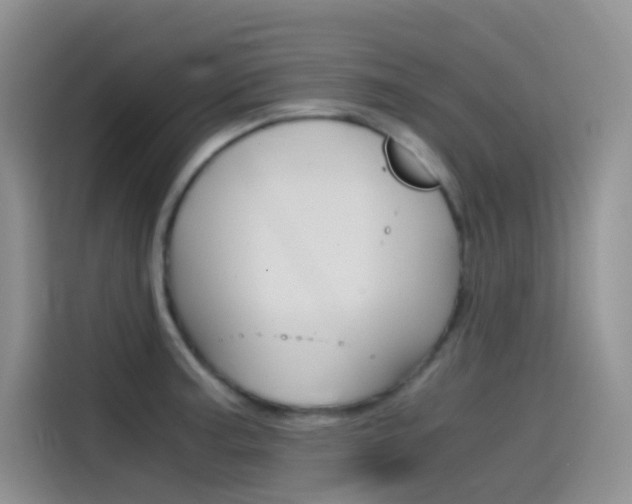 X0000114431187200910161026