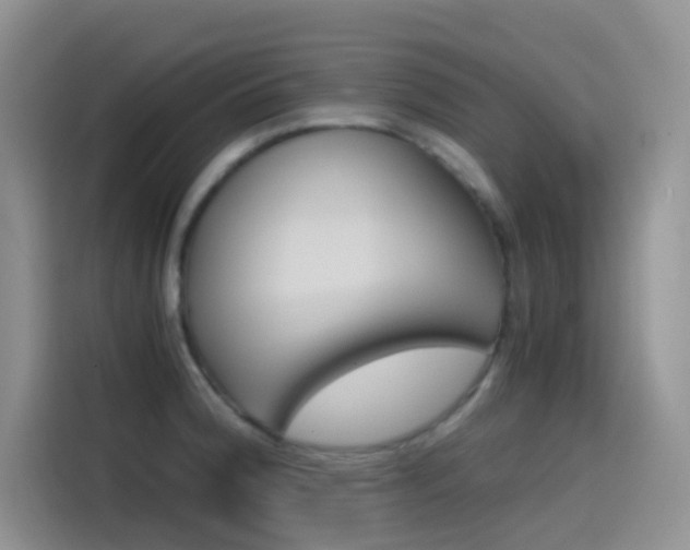 X0000114431188200910161026