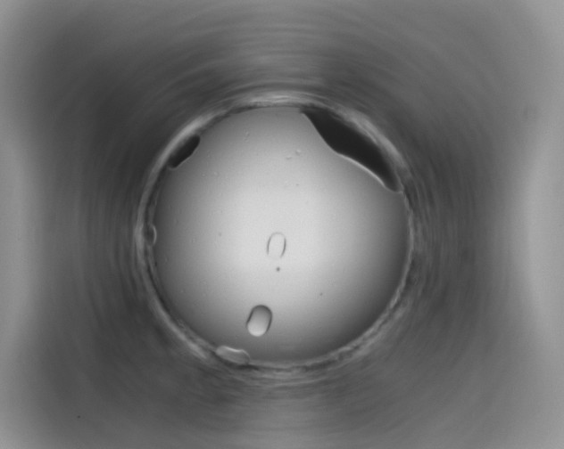X0000114431189200910161026