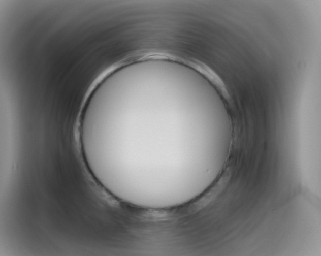 X0000114431190200910161026