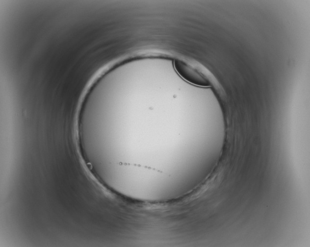 X0000114431191200910161026