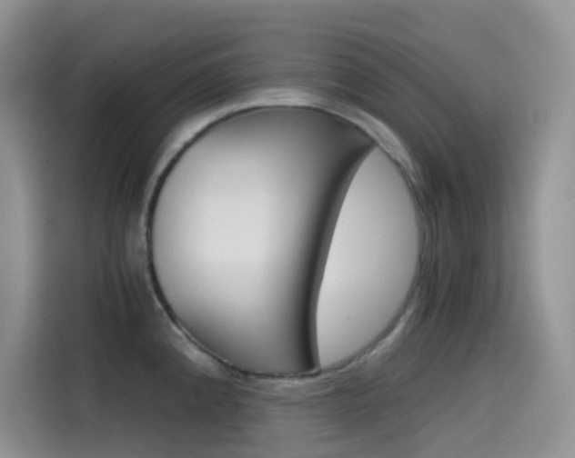 X0000114431192200910161026