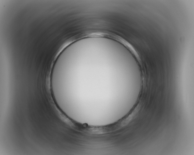 X0000114431194200910161026