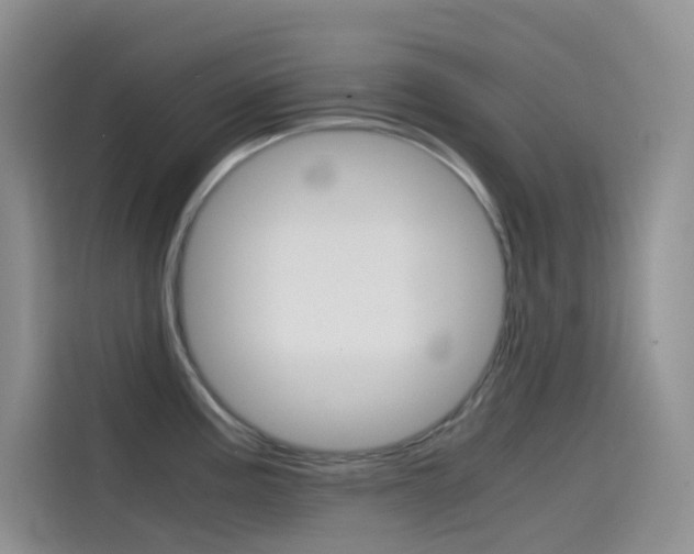 X0000114431195200910161026