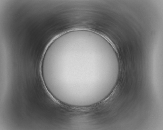 X0000114431197200910161026