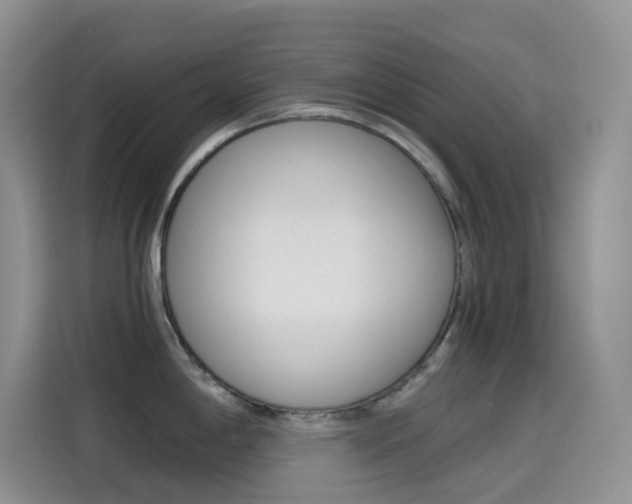 X0000114431198200910161026