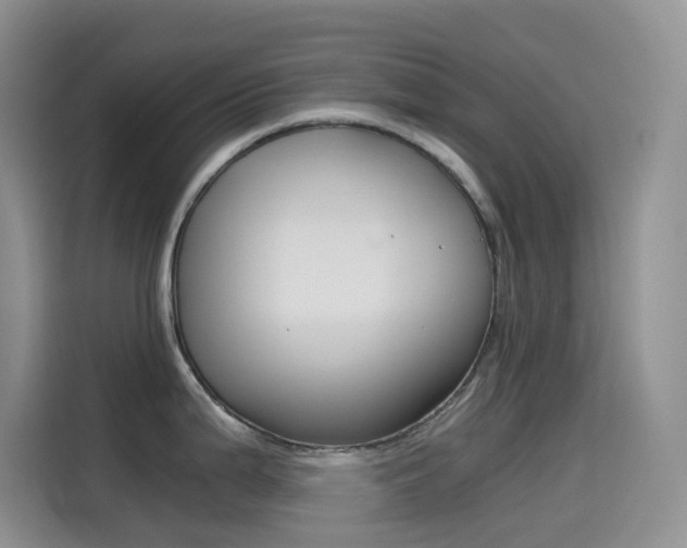 X0000114431199200910161026