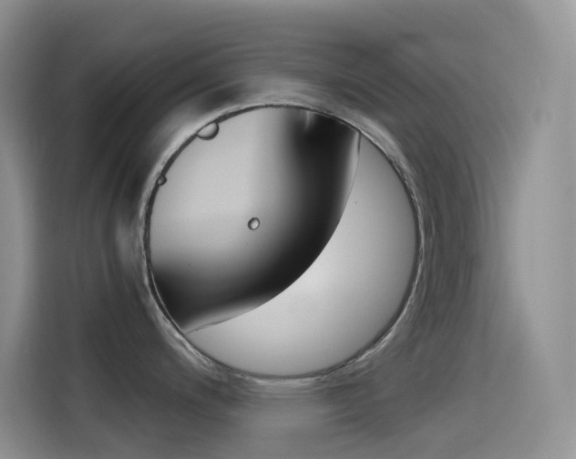 X0000114431200200910161026