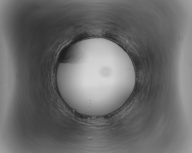 X0000114431201200910161025