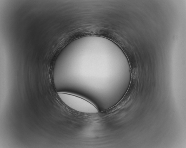 X0000114431202200910161025