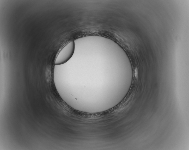 X0000114431203200910161025