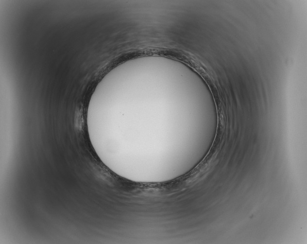 X0000114431204200910161025