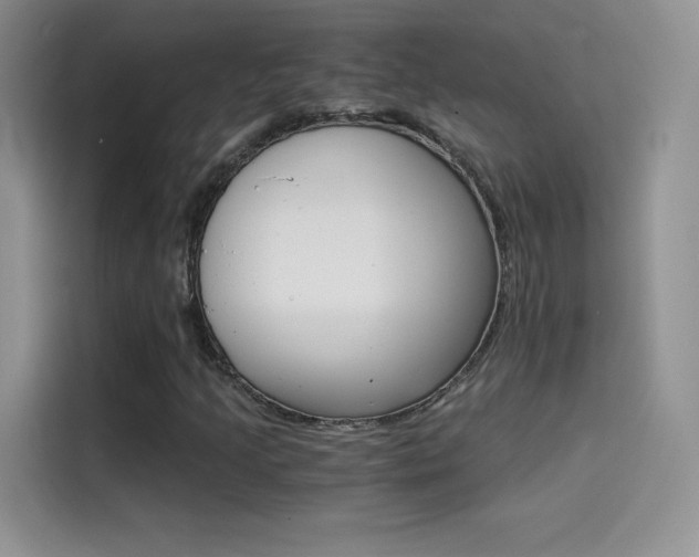 X0000114431205200910161025