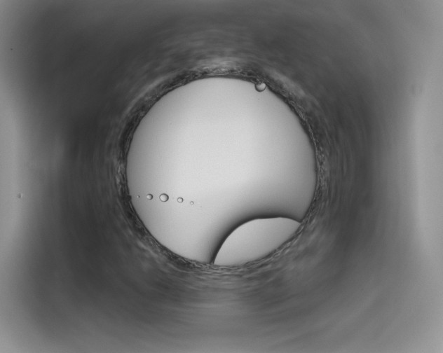 X0000114431206200910161025