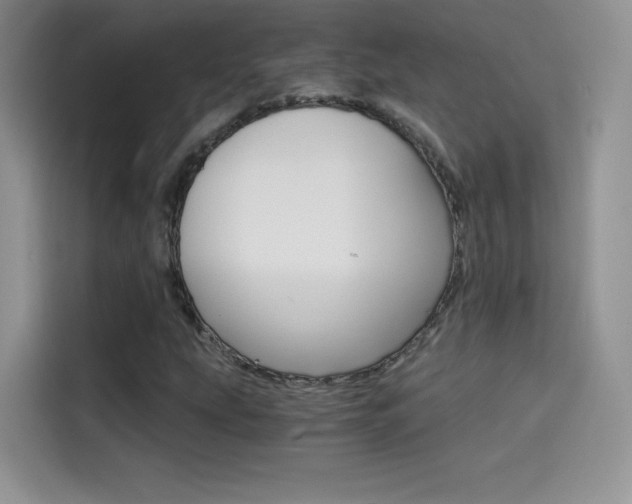 X0000114431207200910161025