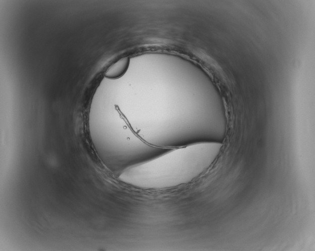 X0000114431208200910161025