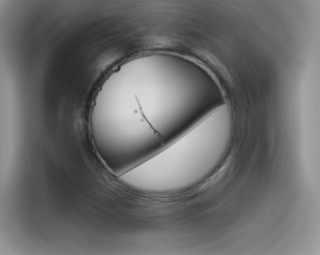 X0000114431210200910161025