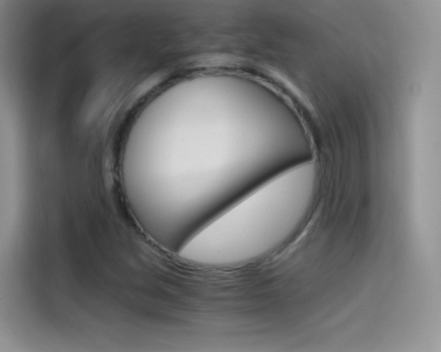 X0000114431213200910161025