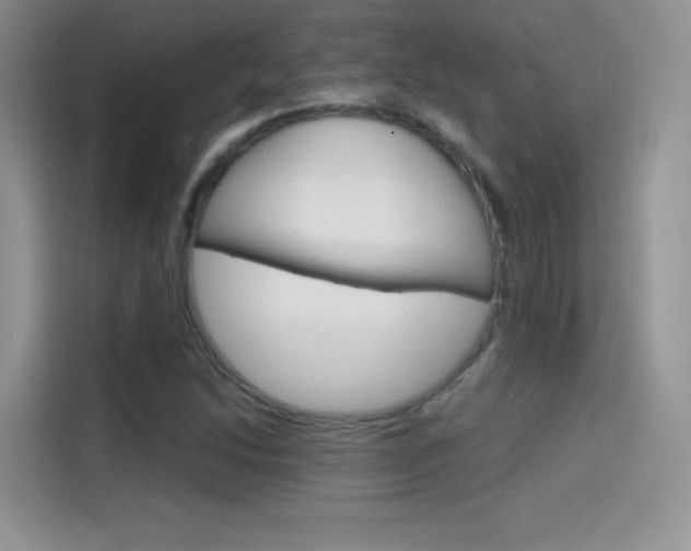 X0000114431214200910161025
