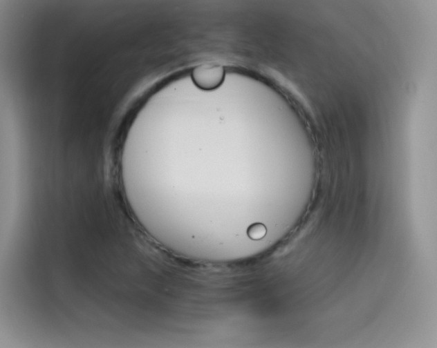X0000114431215200910161025