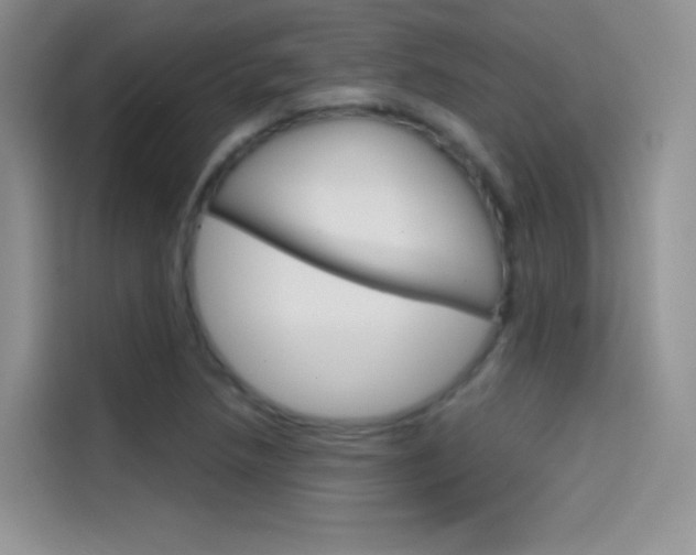 X0000114431218200910161025