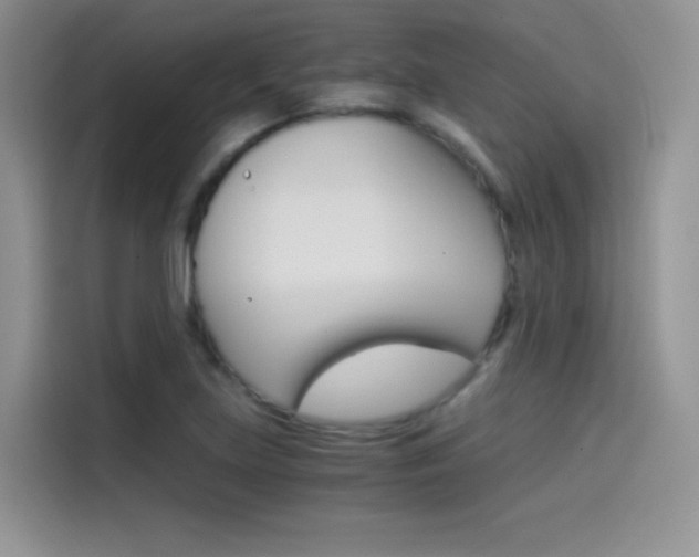 X0000114431219200910161025