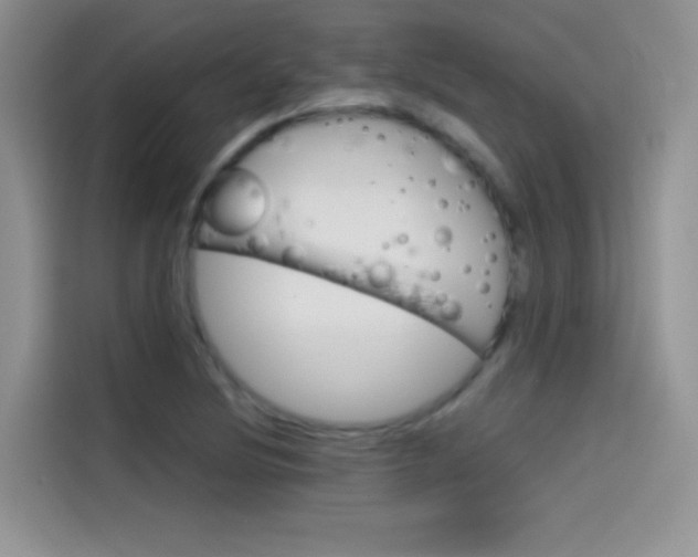 X0000114431220200910161025