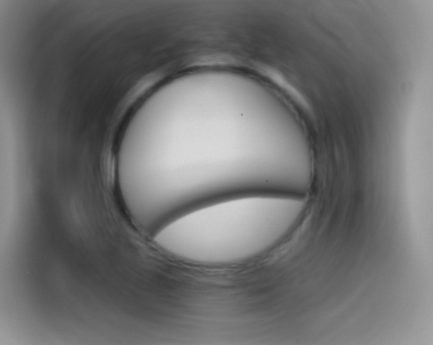 X0000114431221200910161025