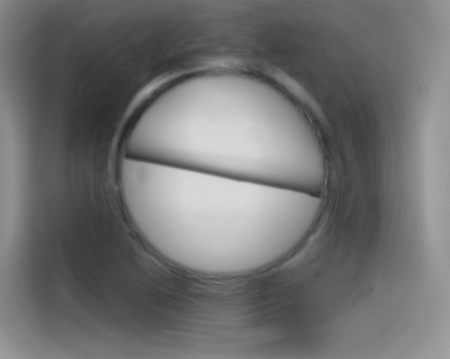 X0000114431222200910161025