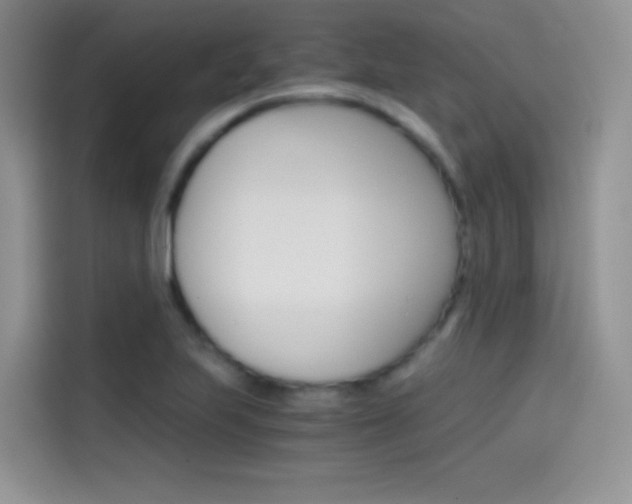 X0000114431223200910161025