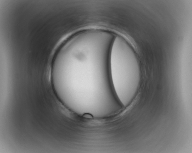 X0000114431224200910161025