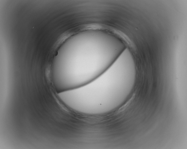 X0000114431225200910161025