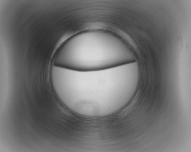 X0000114431226200910161025