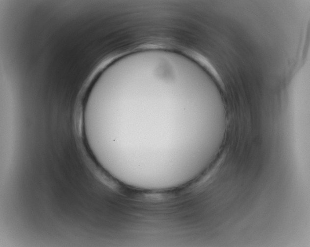 X0000114431227200910161025