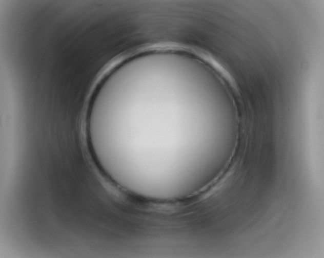 X0000114431229200910161025