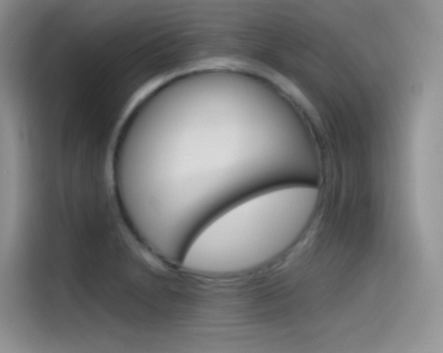 X0000114431230200910161025