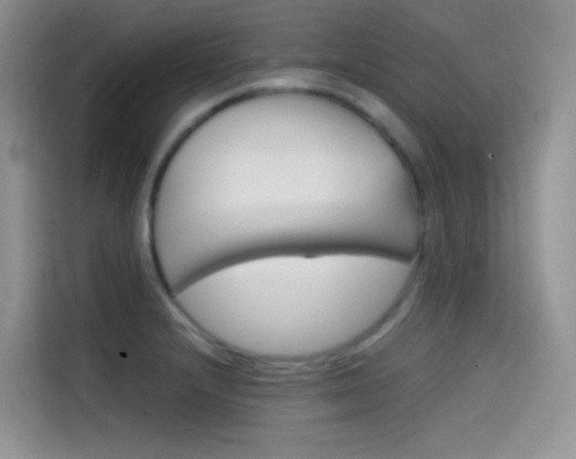 X0000114431232200910161025