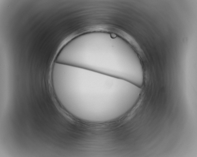 X0000114431234200910161025