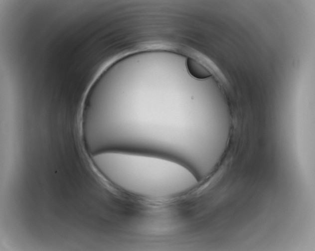 X0000114431236200910161025
