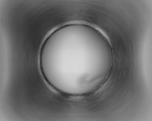 X0000114431237200910161025
