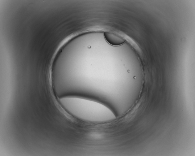 X0000114431238200910161025