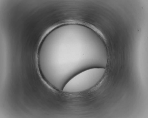 X0000114431239200910161025