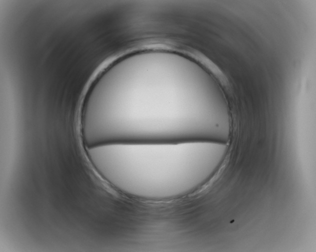 X0000114431240200910161025
