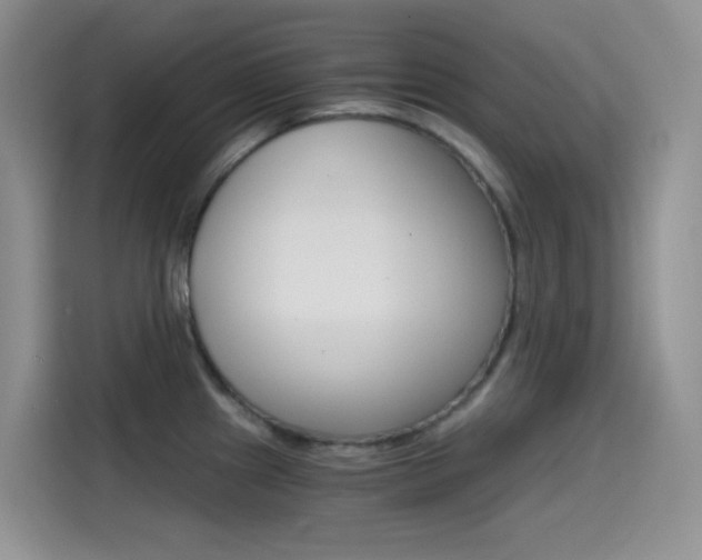X0000114431241200910161025