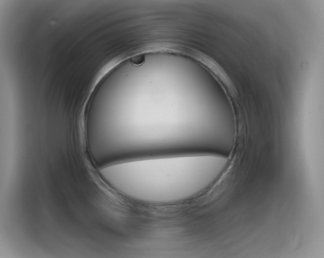 X0000114431242200910161025