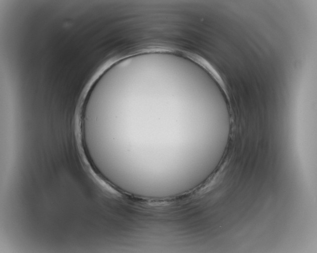 X0000114431243200910161025