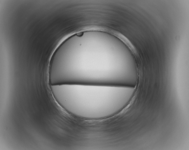 X0000114431244200910161026