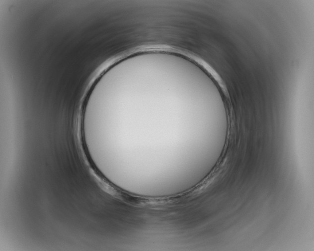 X0000114431245200910161026