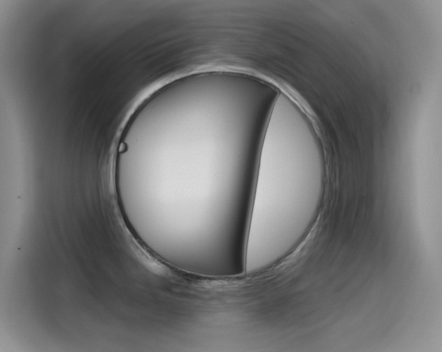 X0000114431246200910161026